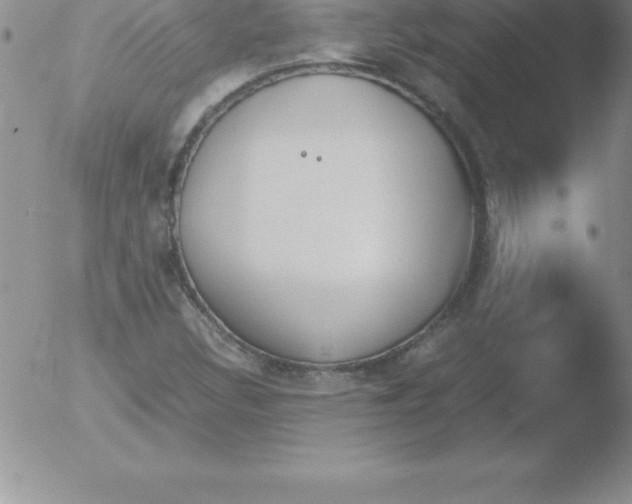 X0000051911308200507082019