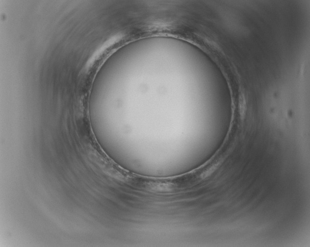 X0000051911309200507082019