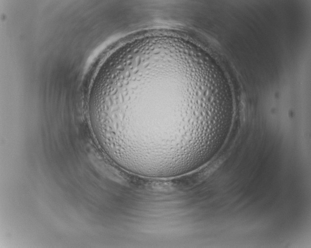 X0000051911310200507082019