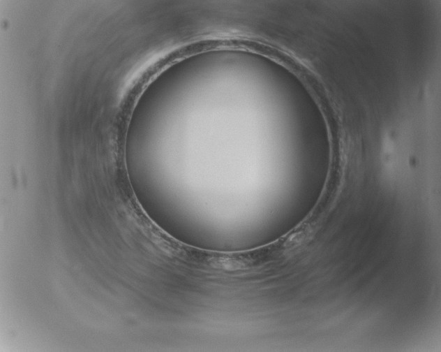 X0000051911311200507082019