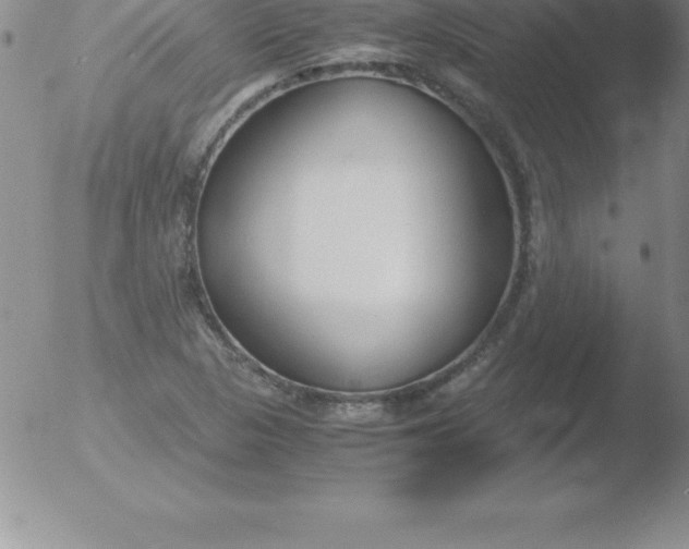 X0000051911313200507082019