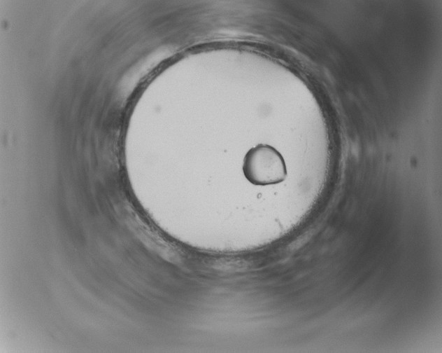 X0000051911314200507082019