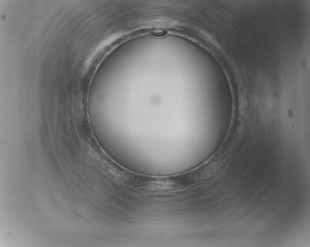 X0000051911315200507082019