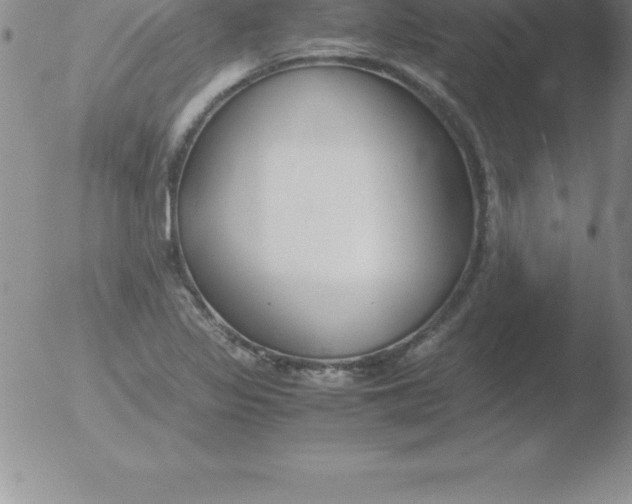 X0000051911317200507082019