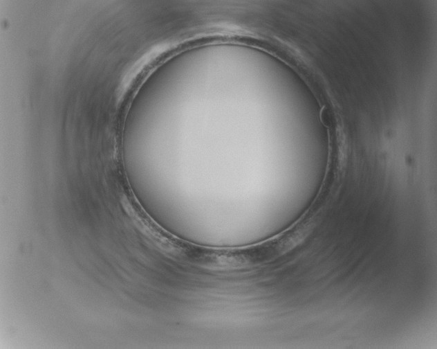 X0000051911318200507082019