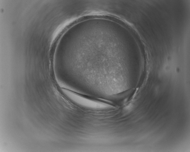 X0000051911319200507082019