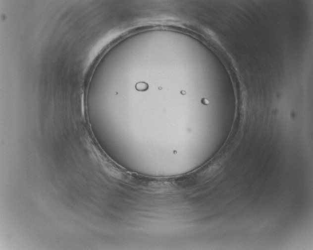 X0000051911320200507082019