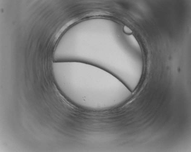 X0000051911321200507082019