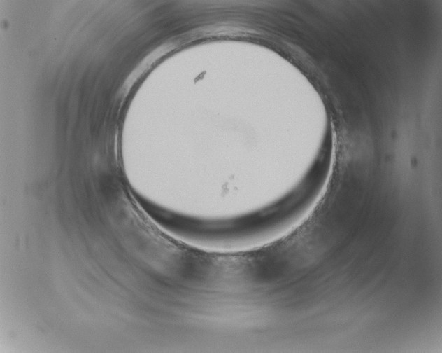 X0000051911322200507082019