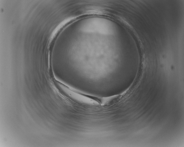 X0000051911323200507082019