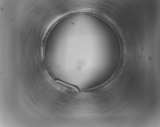 X0000051911324200507082019