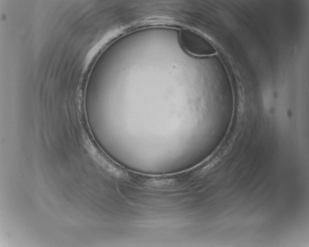 X0000051911325200507082019