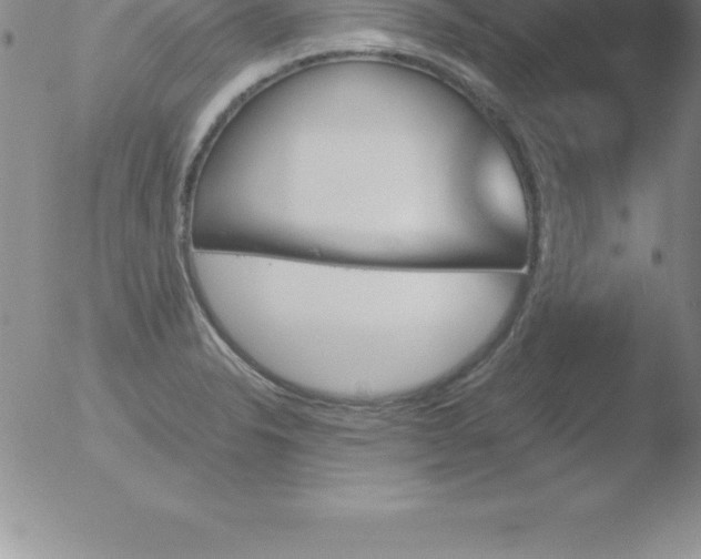 X0000051911326200507082019