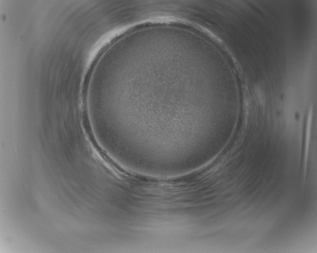 X0000051911327200507082019