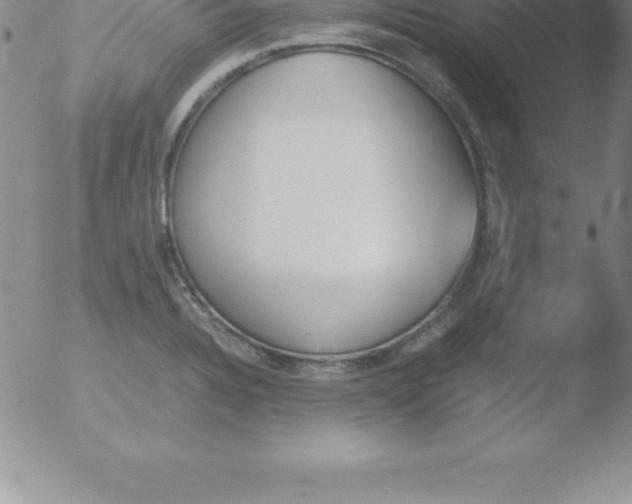 X0000051911328200507082020