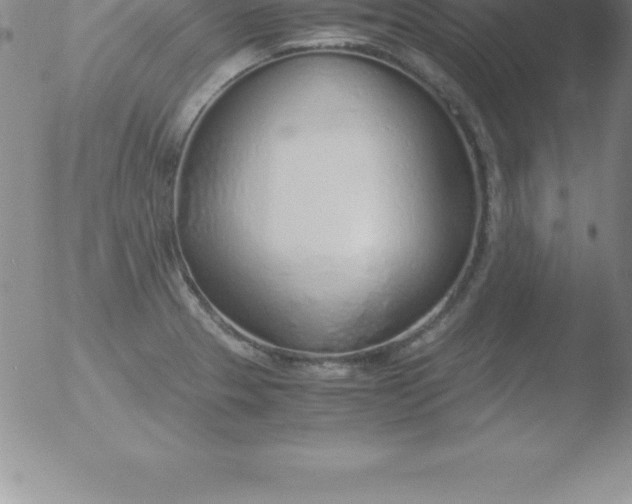 X0000051911329200507082020