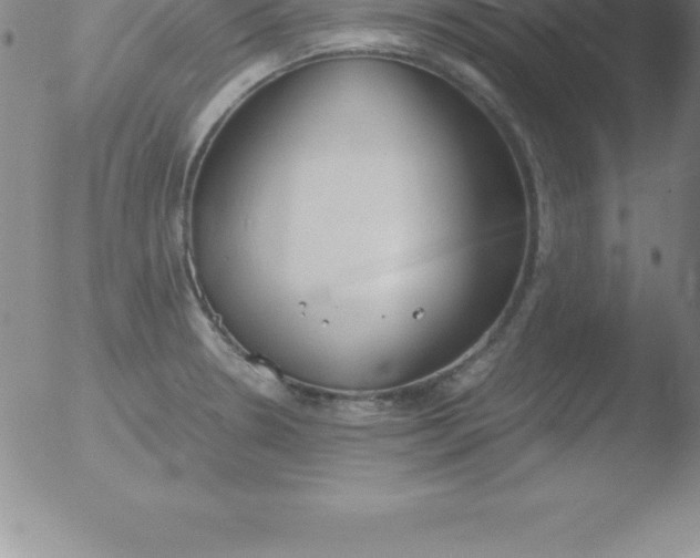 X0000051911330200507082020