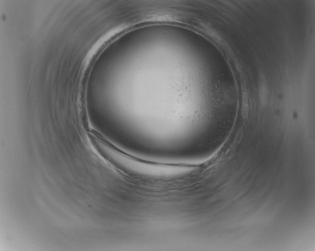 X0000051911331200507082020