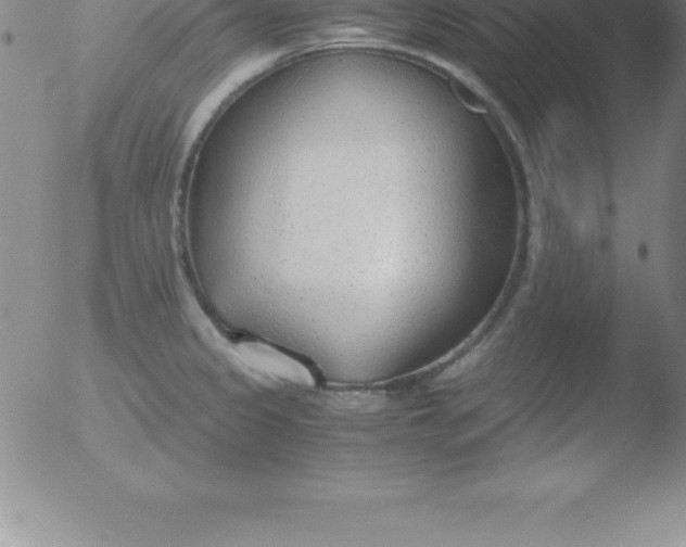 X0000051911333200507082020