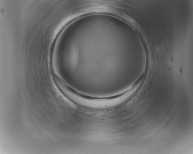 X0000051911334200507082020