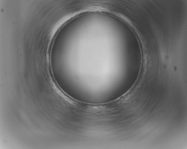 X0000051911335200507082020