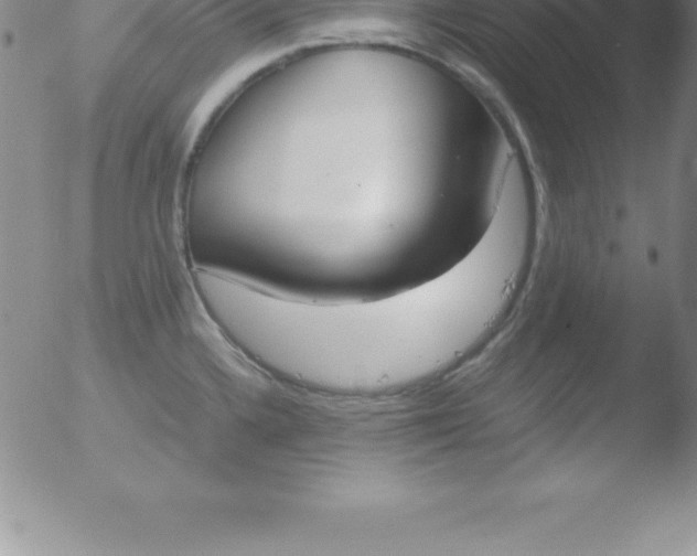 X0000051911336200507082020