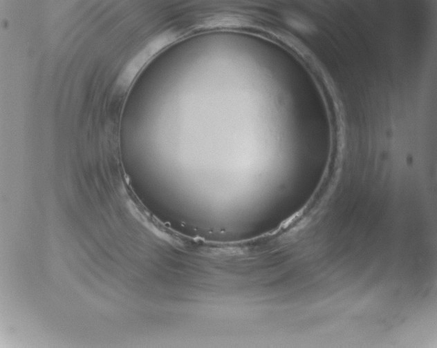 X0000051911337200507082020