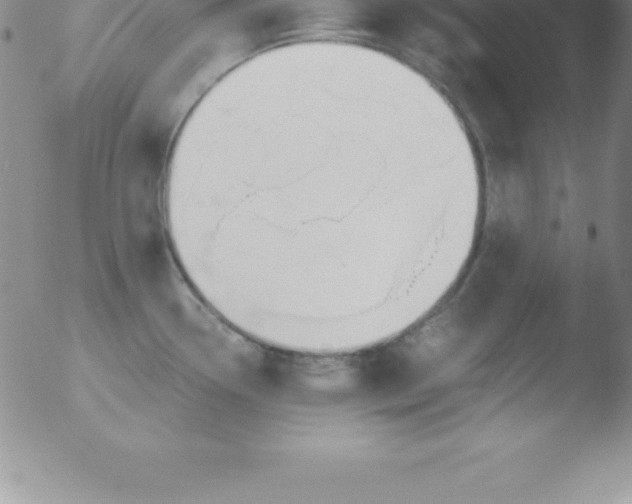 X0000051911338200507082020