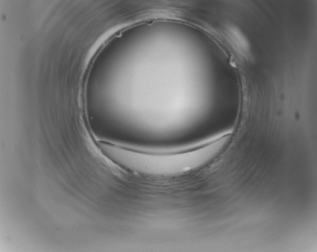 X0000051911339200507082020