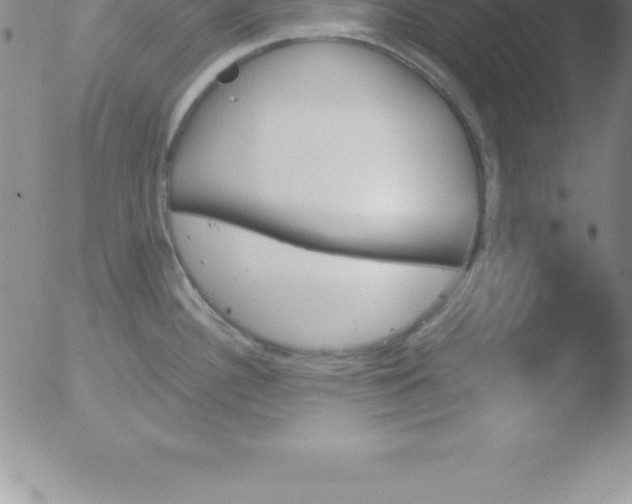 X0000051911340200507082020