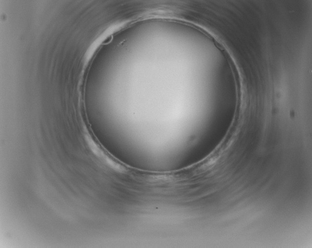 X0000051911341200507082020