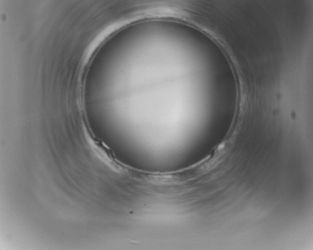 X0000051911342200507082020