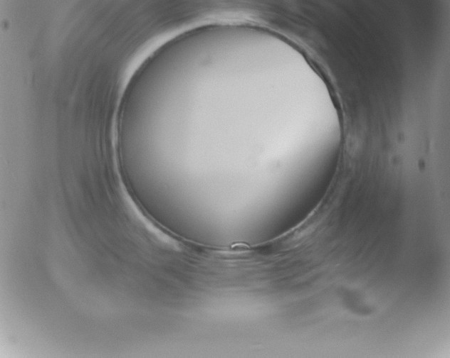 X0000051911343200507082020