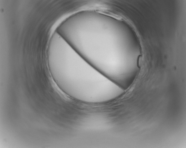 X0000051911344200507082020