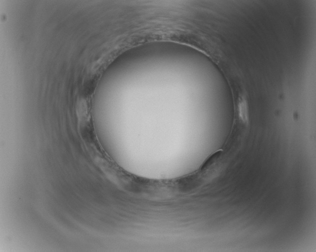 X0000051911347200507082019