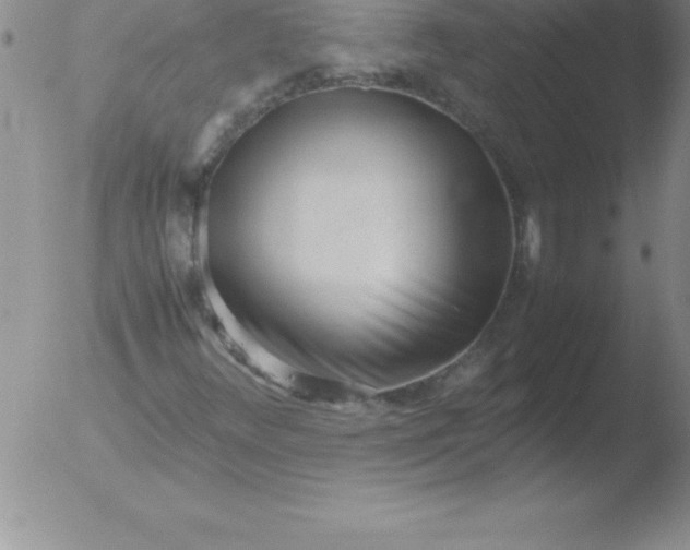 X0000051911348200507082019