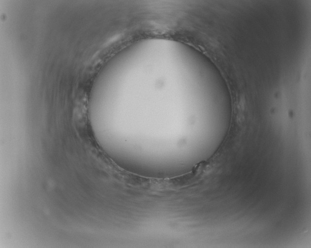 X0000051911349200507082019