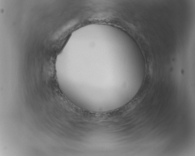 X0000051911350200507082019