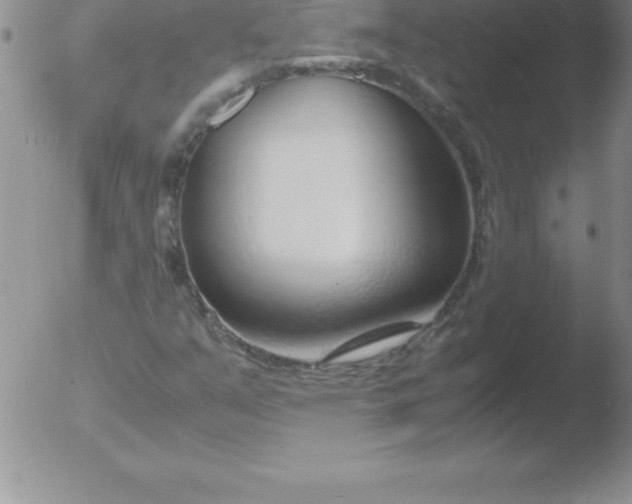 X0000051911351200507082019