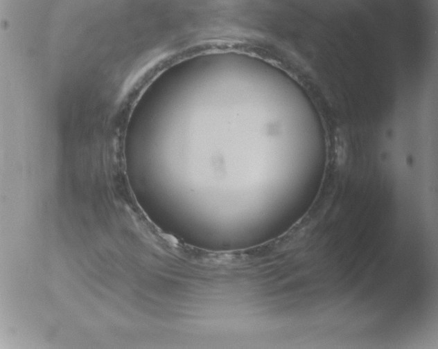 X0000051911352200507082019