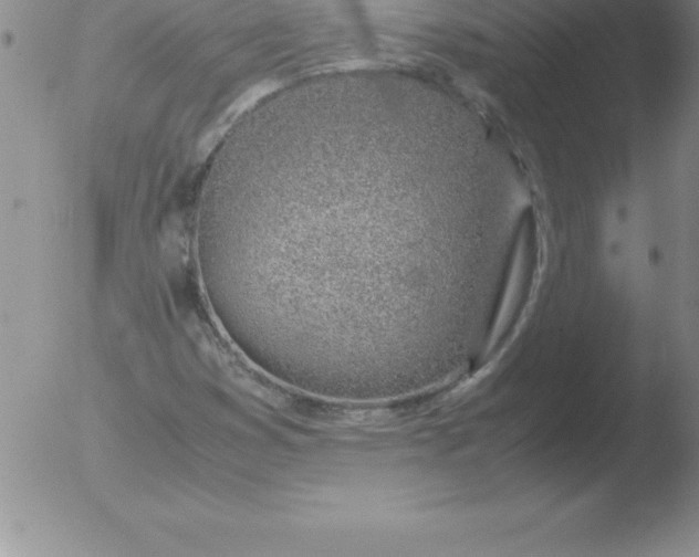 X0000051911353200507082019