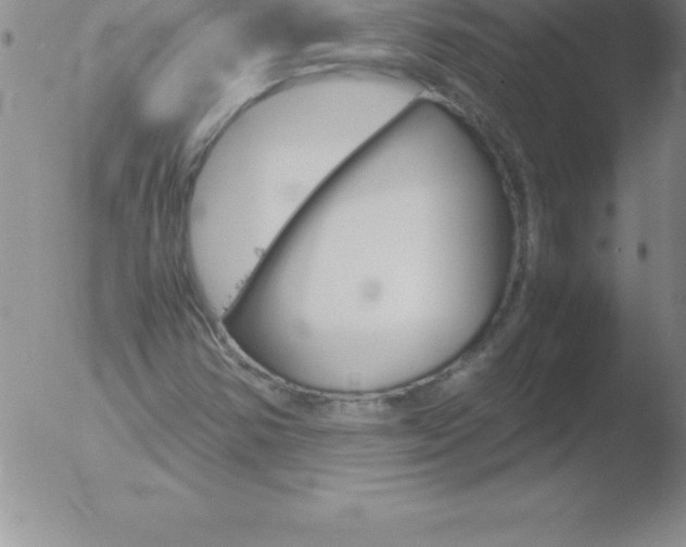 X0000051911354200507082019