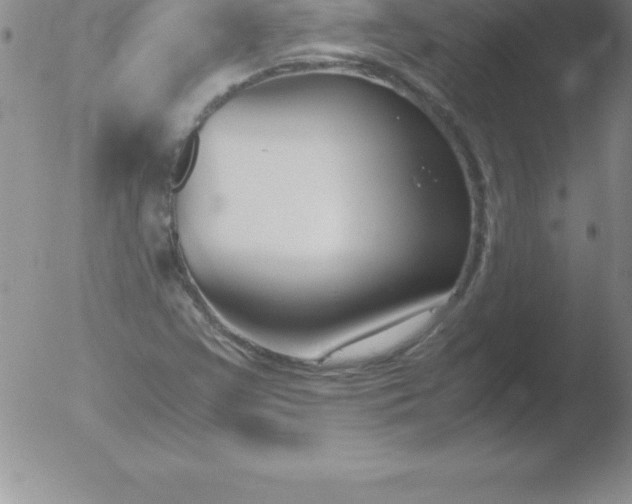 X0000051911355200507082019