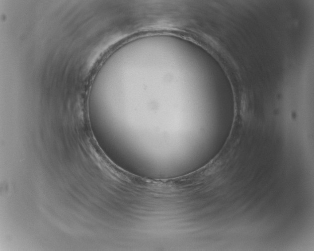 X0000051911356200507082019