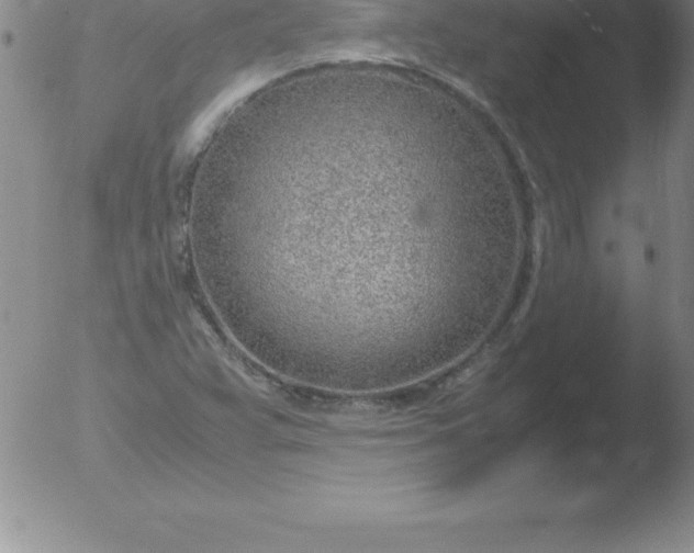 X0000051911359200507082019