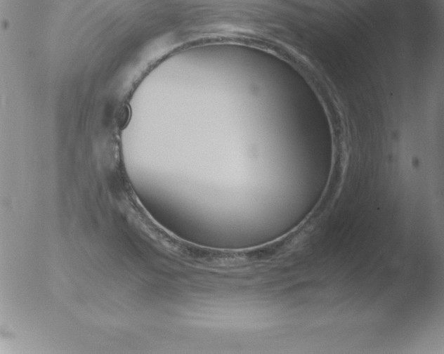 X0000051911363200507082019