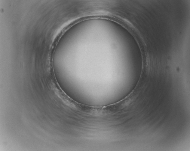 X0000051911364200507082019