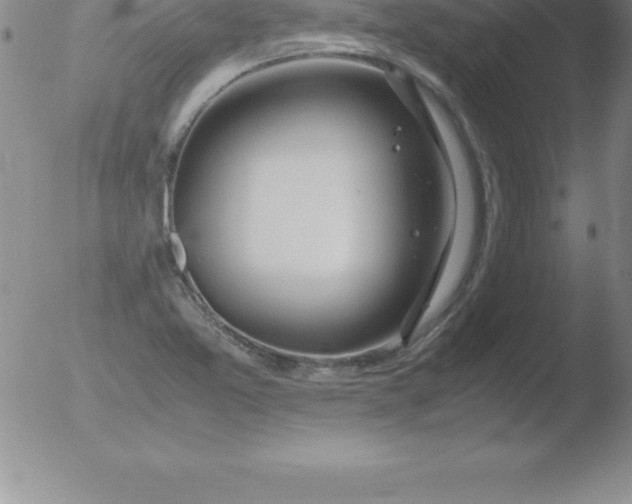 X0000051911365200507082019