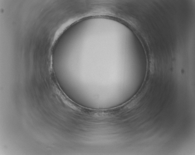 X0000051911366200507082019