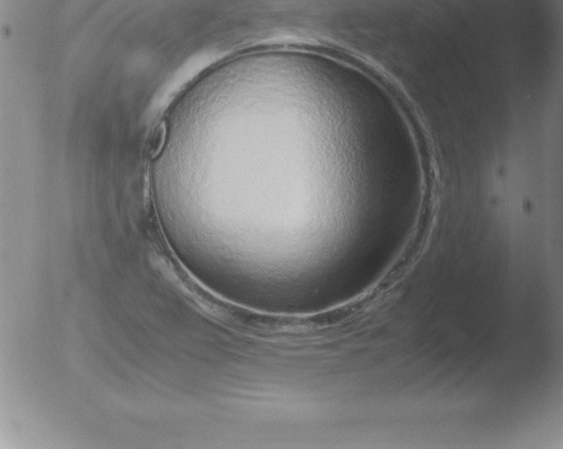 X0000051911367200507082019